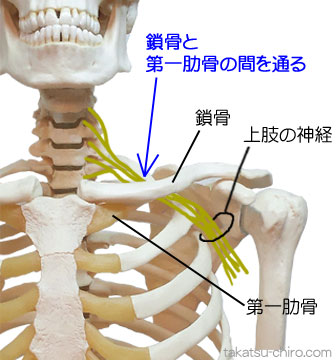 上肢の痛み、鎖骨と第一肋骨の間で神経圧迫
