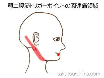 顎二腹筋の顔の痛みの領域