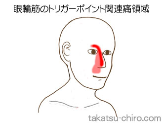 眼輪筋の顔の痛みの領域