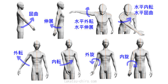 肩、上腕の屈曲、伸展、外転、内転、回旋