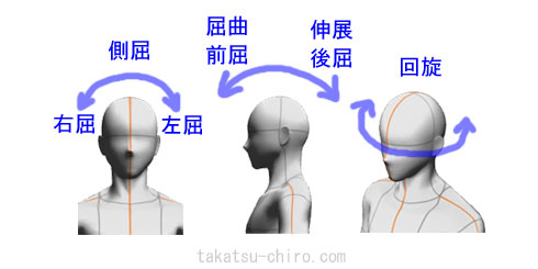 頸の屈曲、伸展、側屈、回旋