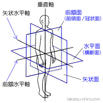 運動面、前額面、前頭面、冠状面、矢状面、水平面、横断面、運動軸、前額水平軸、矢状水平軸、垂直軸